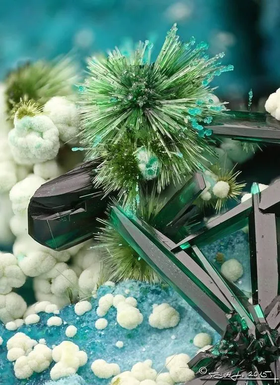 > Atacamite (dark green) with Libethenite (mid-green acicular sprays) & Halloysi…