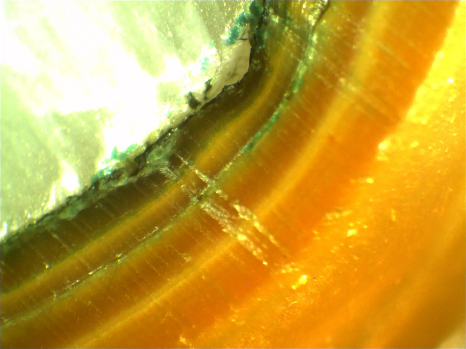 И еще немного распиленного культивированного жемчуга: — фото 8