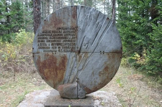 «Палласово железо» (Pallas Iron) — фото 6