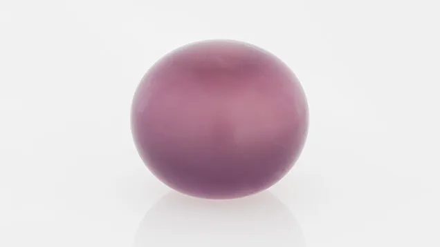 > Жемчуг Ко хог (Quahog). — фото 3