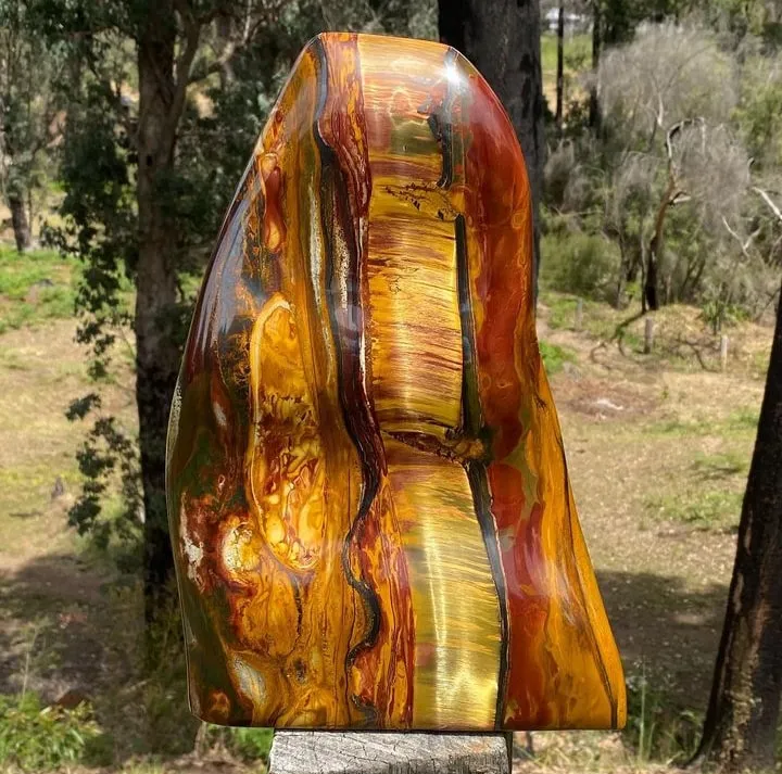 «Mara Mamba Tiger Eye» или «Tiger Eye Mara Mamba» — редкий малоизвестный сорт ти… — фото 1
