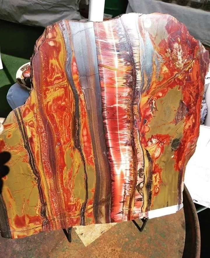 «Mara Mamba Tiger Eye» или «Tiger Eye Mara Mamba» — редкий малоизвестный сорт ти… — фото 2