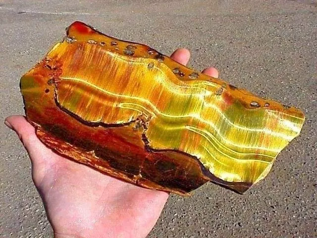 «Mara Mamba Tiger Eye» или «Tiger Eye Mara Mamba» — редкий малоизвестный сорт ти… — фото 6