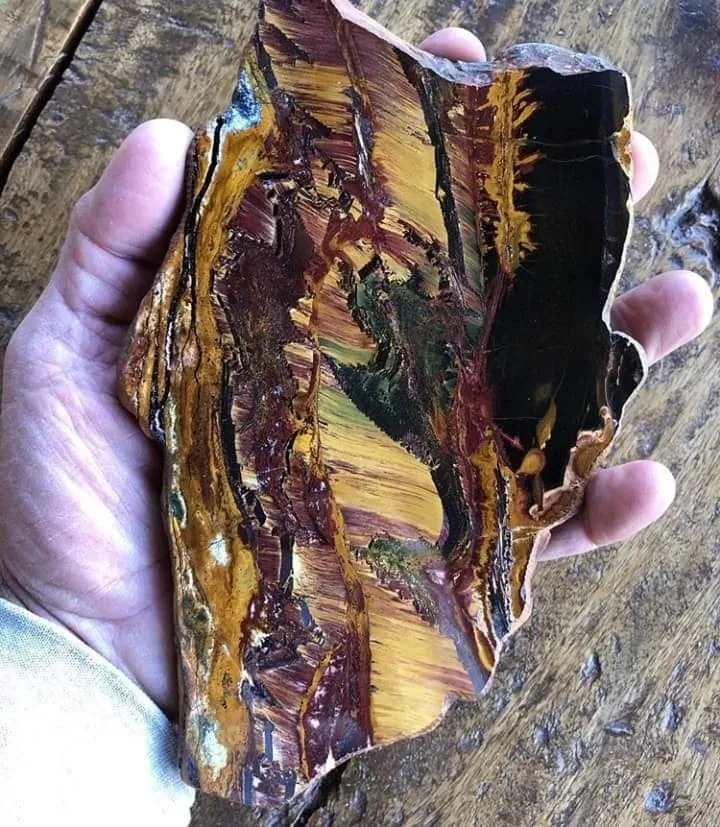 «Mara Mamba Tiger Eye» или «Tiger Eye Mara Mamba» — редкий малоизвестный сорт ти… — фото 7