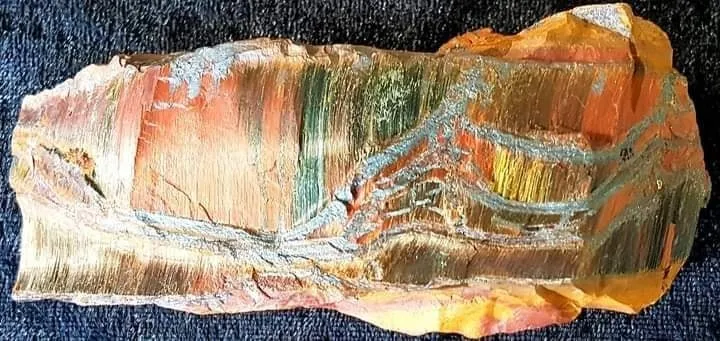 «Mara Mamba Tiger Eye» или «Tiger Eye Mara Mamba» — редкий малоизвестный сорт ти… — фото 8