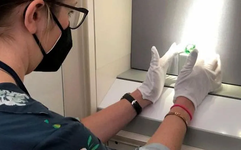 Национальный музей естественной истории Смитсоновского института, планирует в бл… — фото 5