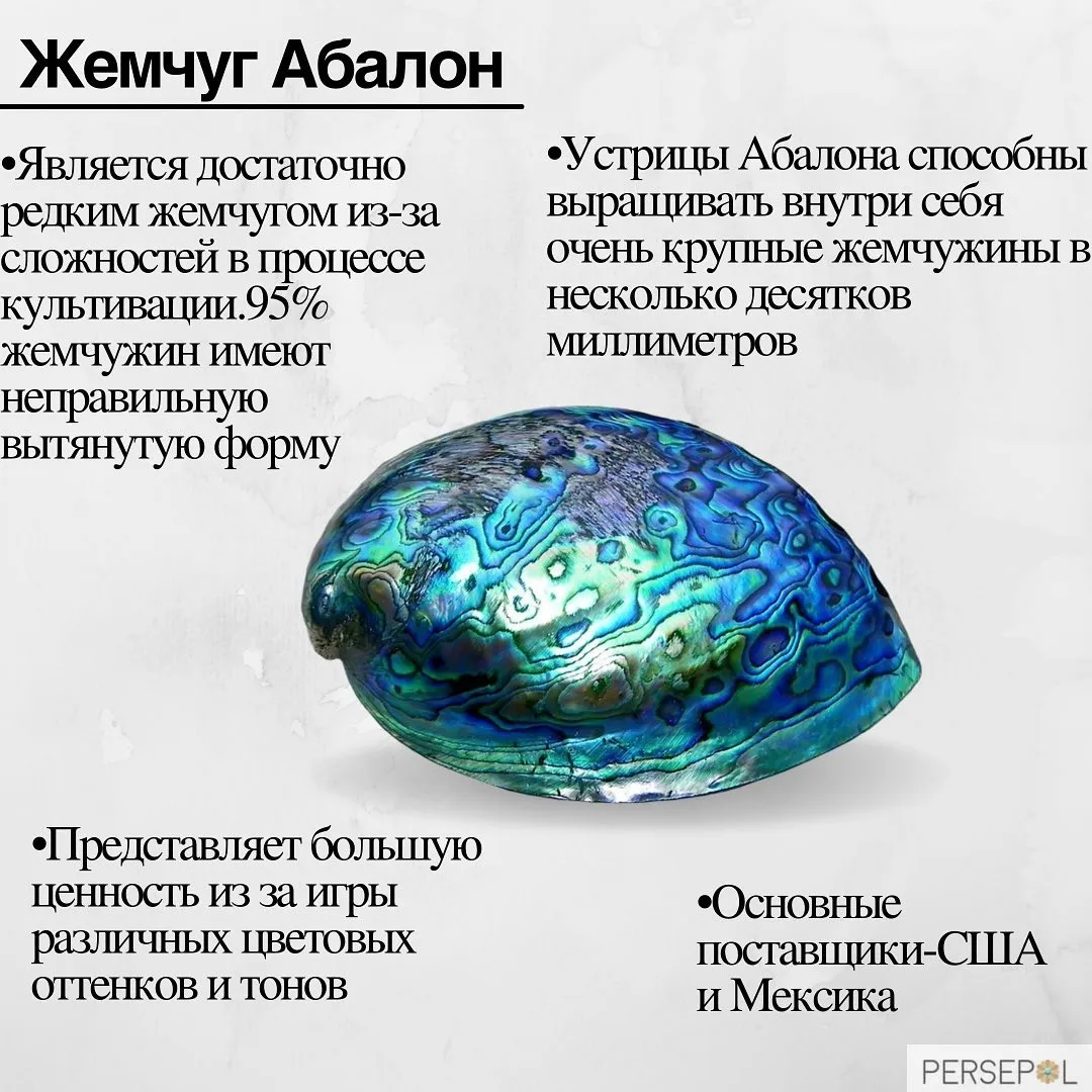 "Абалон" (Abalone pearl) — "Жемчуг морского ушка". — фото 1