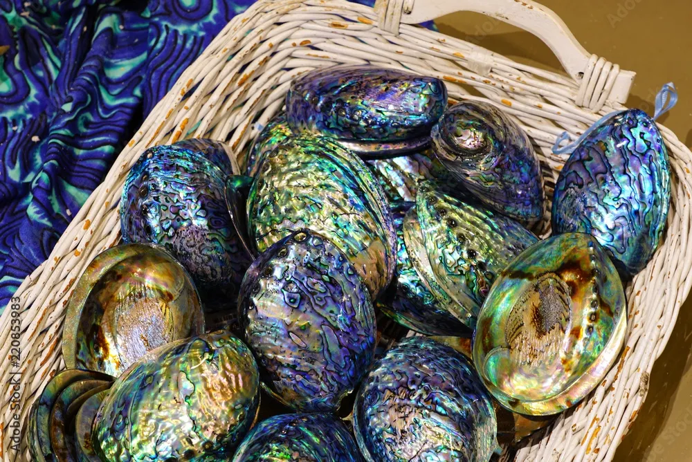 "Абалон" (Abalone pearl) — "Жемчуг морского ушка". — фото 2