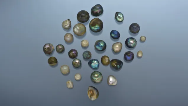 "Абалон" (Abalone pearl) — "Жемчуг морского ушка". — фото 4