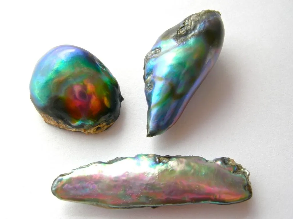 "Абалон" (Abalone pearl) — "Жемчуг морского ушка". — фото 5