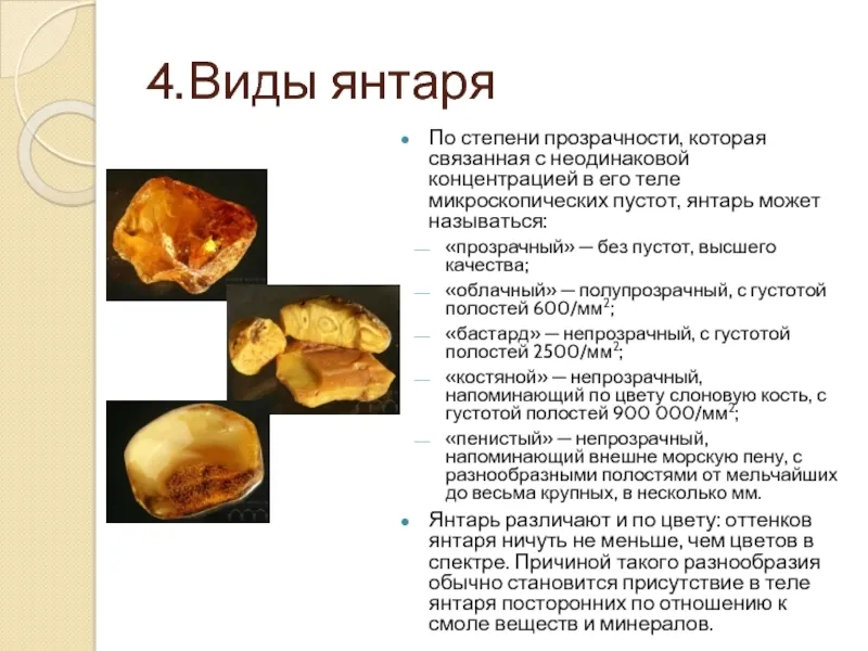 Янтарь – это окаменевшая ископаемая древесная смола, затвердевшая живица различн… — фото 8