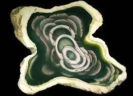 «Royal Imperial Jasper Slab» («Королевская императорская яшма»), муниципалитет М… — фото 2