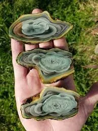 «Royal Imperial Jasper Slab» («Королевская императорская яшма»), муниципалитет М… — фото 5