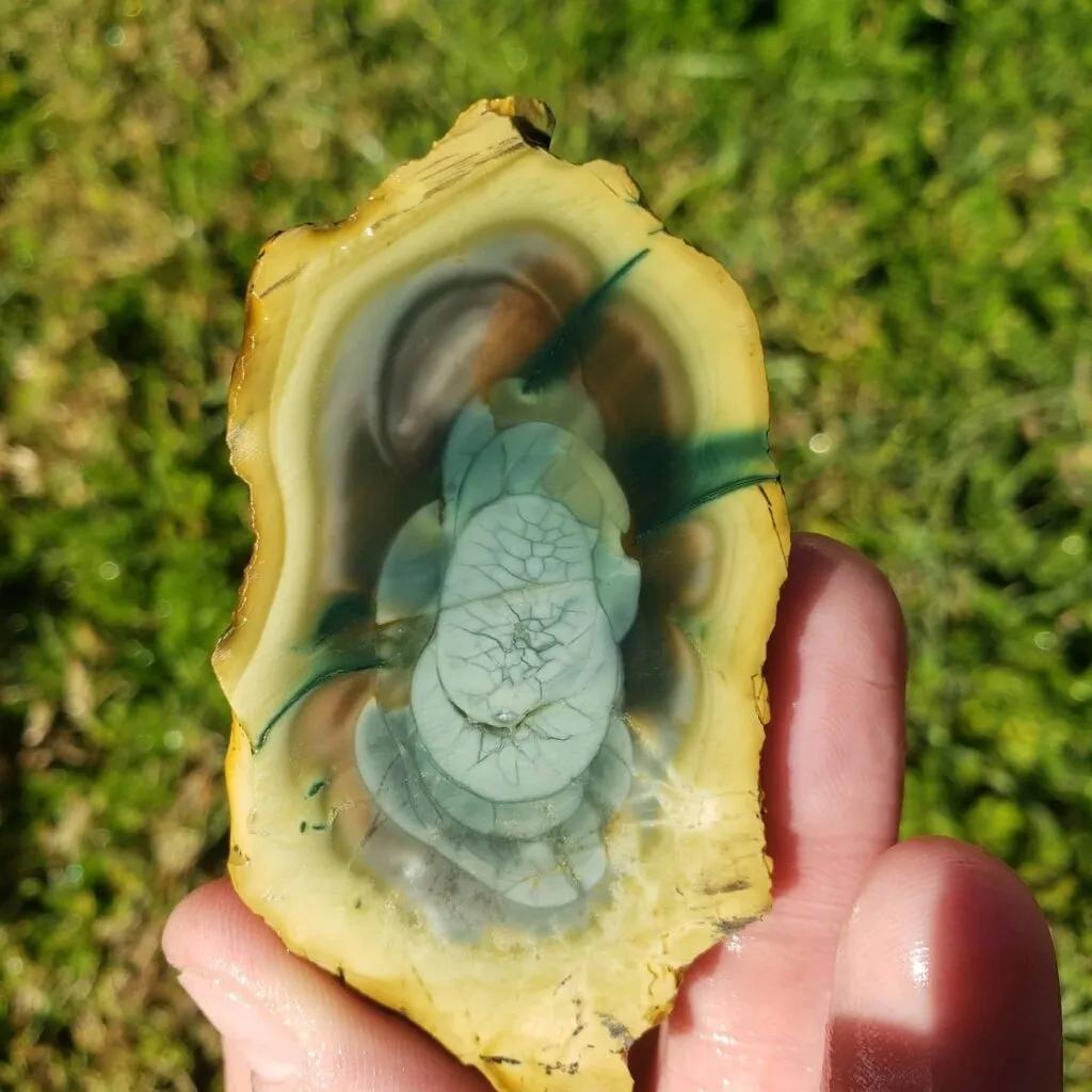 «Royal Imperial Jasper Slab» («Королевская императорская яшма»), муниципалитет М… — фото 9