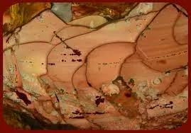 Яшма-Моррисонит (Morrisonite jasper), округ Малер, штат Орегон, США. — фото 4