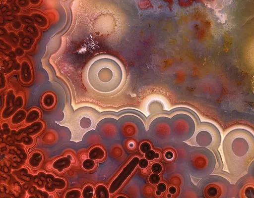 «Crazy lace agate» («Сумасшедший кружевной агат») — это разновидность агата, кот… — фото 4