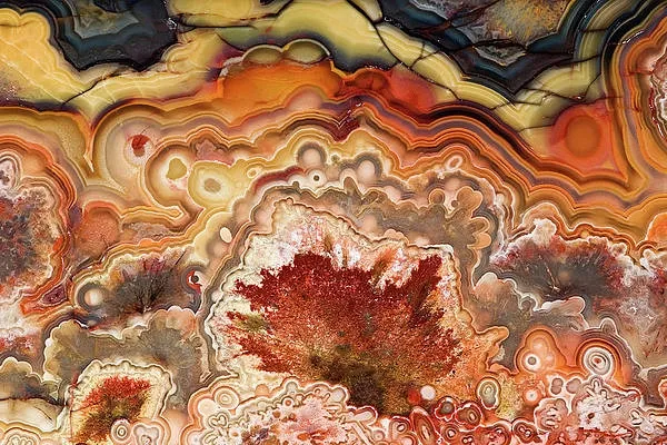 «Crazy lace agate» («Сумасшедший кружевной агат») — это разновидность агата, кот… — фото 6