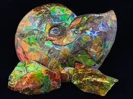 Аммолит (Ammolite)— относительно редкий ювелирный камень, органического происхож… — фото 1