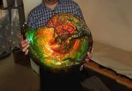 Аммолит (Ammolite)— относительно редкий ювелирный камень, органического происхож… — фото 6