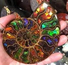 Аммолит (Ammolite)— относительно редкий ювелирный камень, органического происхож… — фото 7