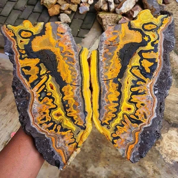 «Шмелиная яшма» («Bumblebee Jasper») — фото 2