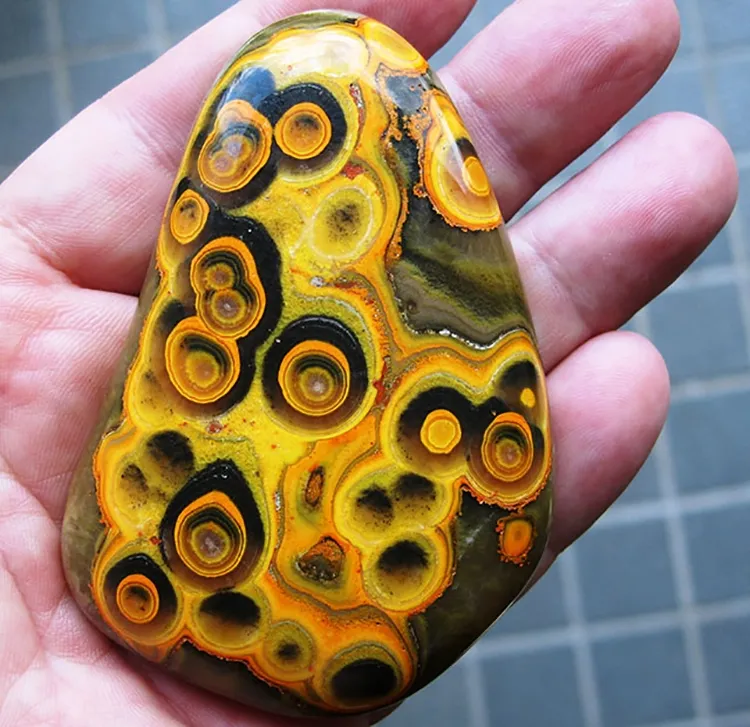 «Шмелиная яшма» («Bumblebee Jasper») — фото 6