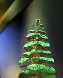 «Рождественский сюрприз». — фото 2
