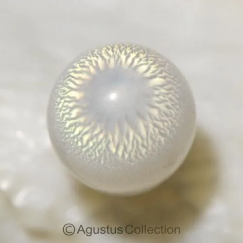 Сlam Pearls (Porcelain pearls)— Жемчуг белого цвета, внешне напоминающий фарфор.… — фото 2