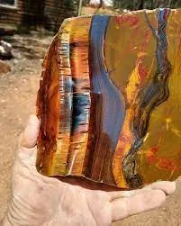 "Mara Mamba Tiger Eye" или "Tiger Eye Mara Mamba" - редкий малоизвестный сорт «Т… — фото 4
