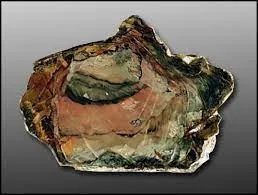 «Morrisonite Jasper» («Моррисонитовая яшма») – одна из самых выдающихся декорати… — фото 4