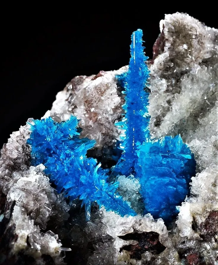 Пентагонит (Pentagonite) — редкий минерал из класса силикатов (филлосиликатов) (… — фото 1