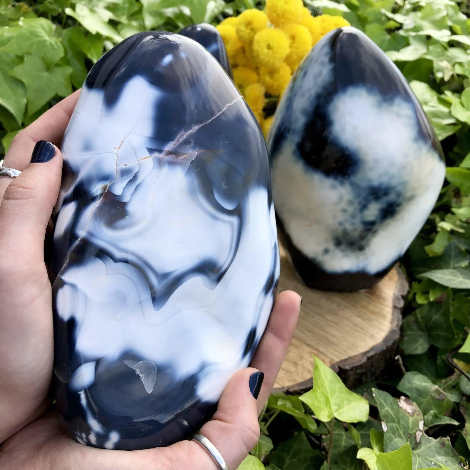 «Агат Косатка», также известный как «Океанский Агат» («Orca Agate» или «Ocean Ag… — фото 1