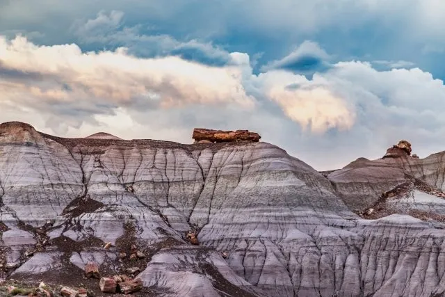Национальный парк «Петрифайд-Форест» («Petrified Forest» — «Окаменелый лес») — н… — фото 4