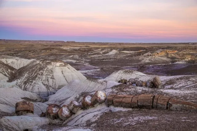 Национальный парк «Петрифайд-Форест» («Petrified Forest» — «Окаменелый лес») — н… — фото 5