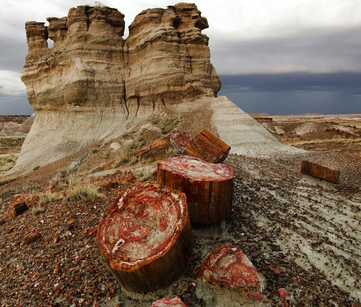 Национальный парк «Петрифайд-Форест» («Petrified Forest» — «Окаменелый лес») — н… — фото 6