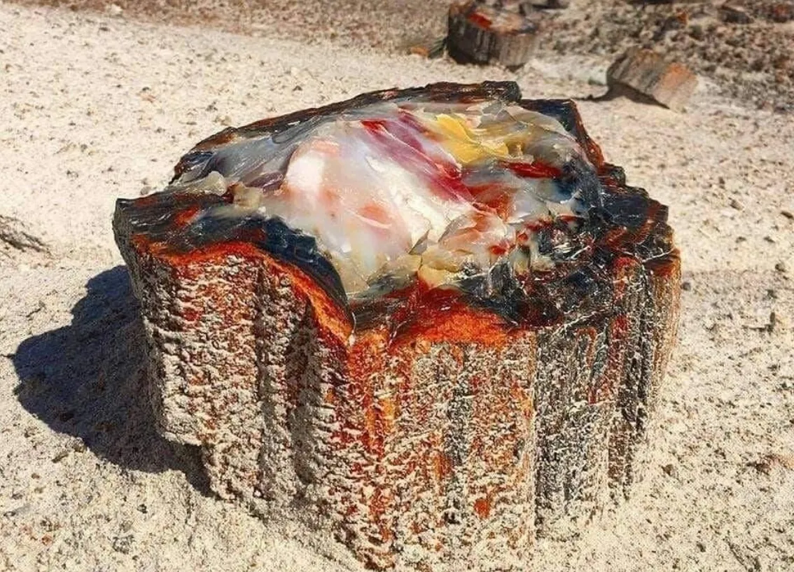 Национальный парк «Петрифайд-Форест» («Petrified Forest» — «Окаменелый лес») — н… — фото 9