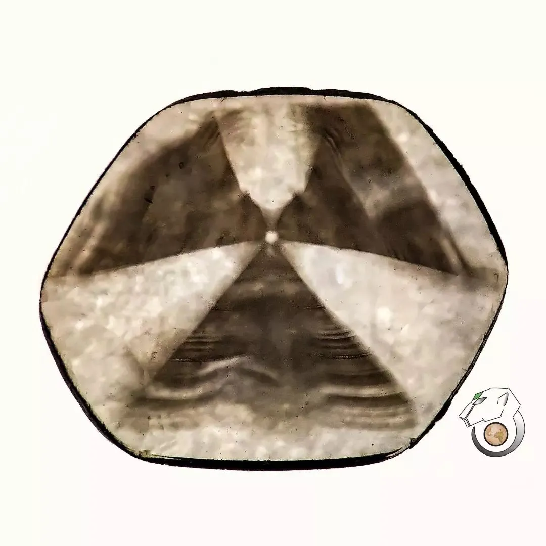 >Коллекция «Diamond Trapiche»—коллекция чрезвычайно редких алмазов (в виде пласт… — фото 10
