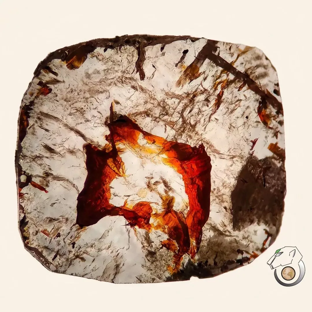 >Коллекция «Diamond Trapiche»—коллекция чрезвычайно редких алмазов (в виде пласт… — фото 7