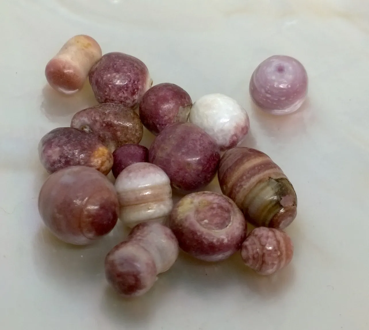 «Жемчуг-гребешок» («scallop pearl») представляет собой не перламутровое известко… — фото 3