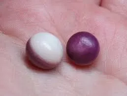 «Жемчуг-гребешок» («scallop pearl») представляет собой не перламутровое известко… — фото 4