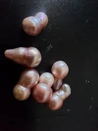 «Жемчуг-гребешок» («scallop pearl») представляет собой не перламутровое известко… — фото 8