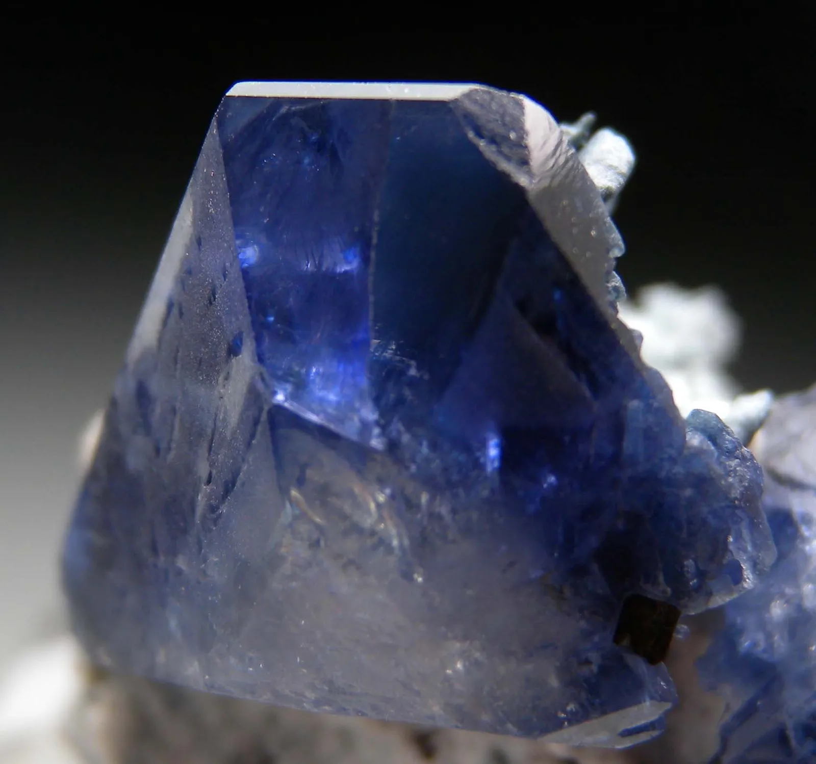 >Кристаллы Бенитоита (Benitoite), San Benito, Калифорния, США. — фото 6