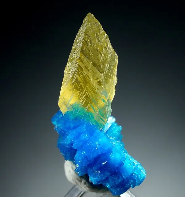 >Желтый кристалл кальцита (GEMMY CALCITE) на ярко-голубом кавансите. Какой, все … — фото 1