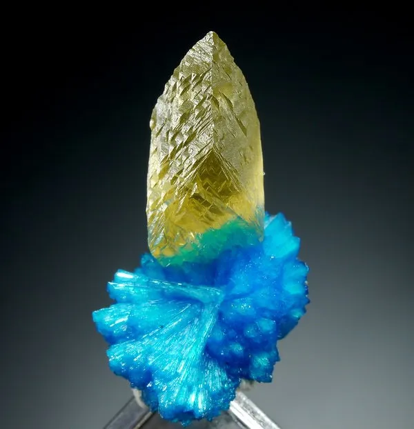 >Желтый кристалл кальцита (GEMMY CALCITE) на ярко-голубом кавансите. Какой, все … — фото 3