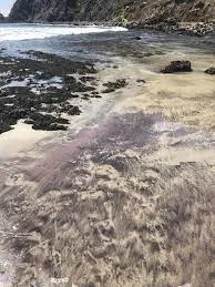 2. Пляж «Пфайффер» находится примерно в 3 часах езды от Сан-Франциско и в 6 часа… — фото 4