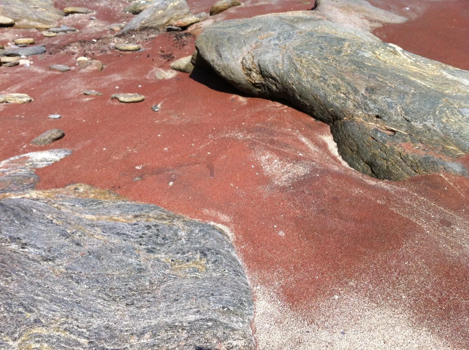 3. Жемчужину островов Южной Бретани, остров Груа (The island of Groix) местные ж… — фото 7