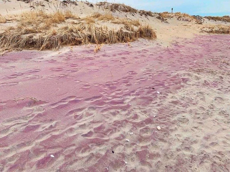 4. Plum Island (Остров Плам) — остров, расположенный у северо-восточного побереж… — фото 1