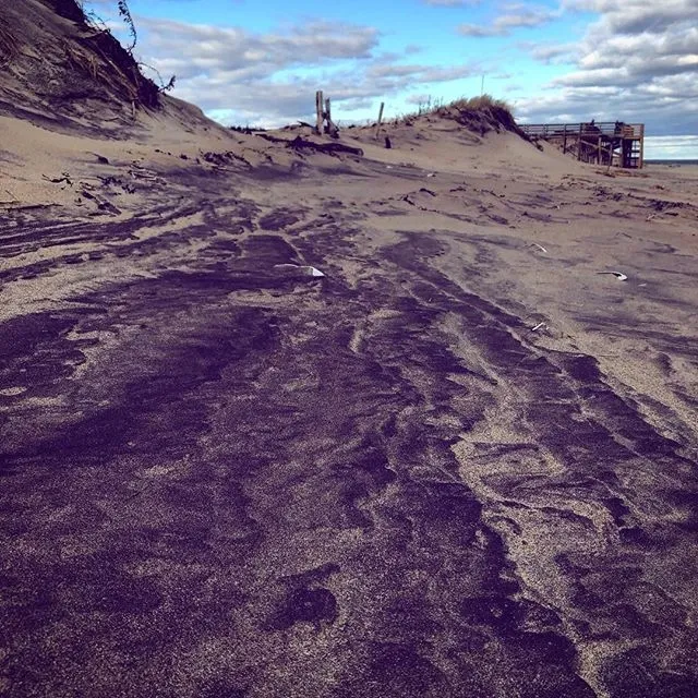 4. Plum Island (Остров Плам) — остров, расположенный у северо-восточного побереж… — фото 2