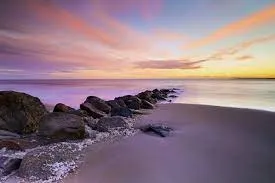 4. Plum Island (Остров Плам) — остров, расположенный у северо-восточного побереж… — фото 3