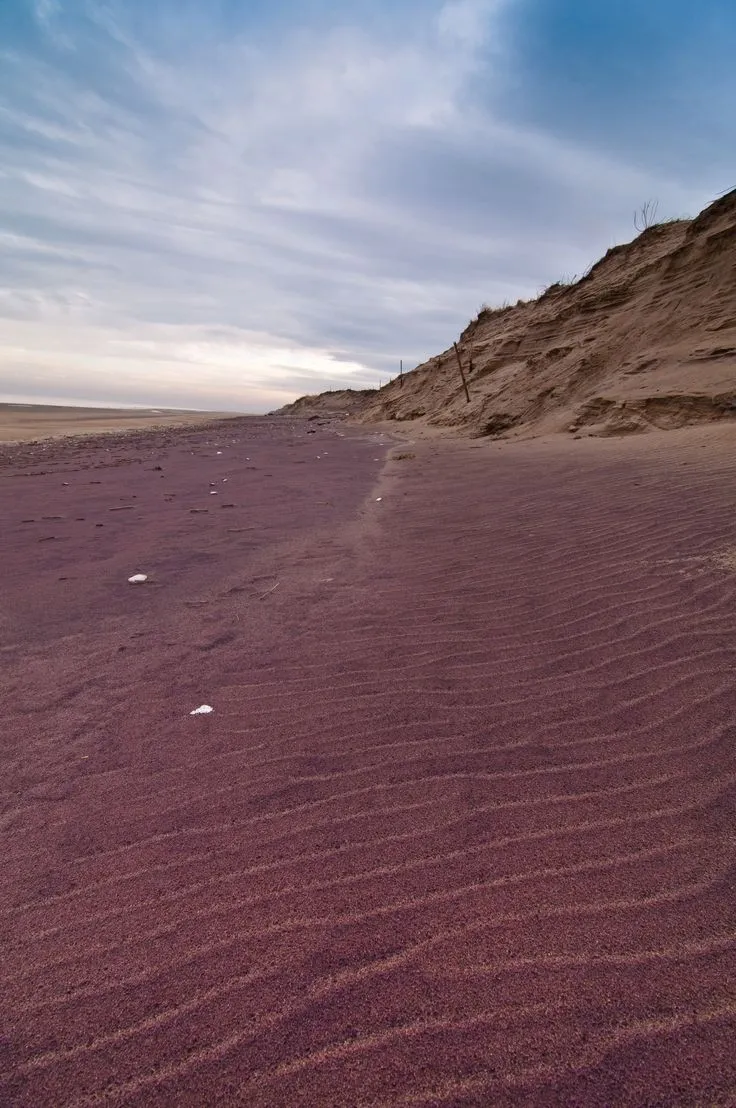 4. Plum Island (Остров Плам) — остров, расположенный у северо-восточного побереж… — фото 8